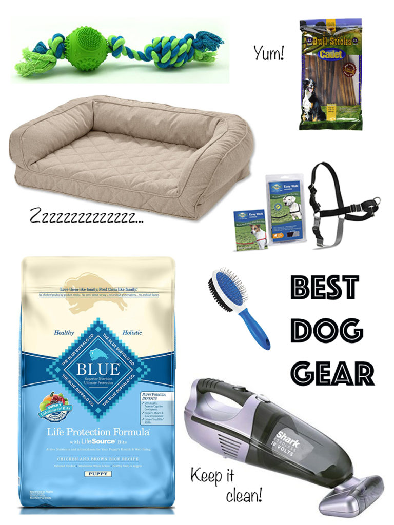 Best Dog Gear on The Sent